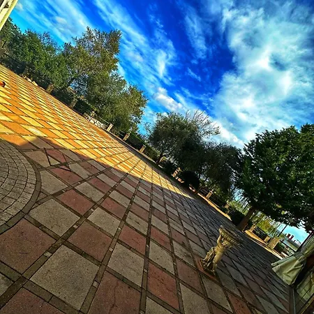 Colledisisto Srl Pomarico