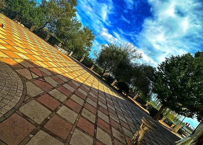 Colledisisto Srl Pomarico